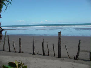 imagen062.jpg